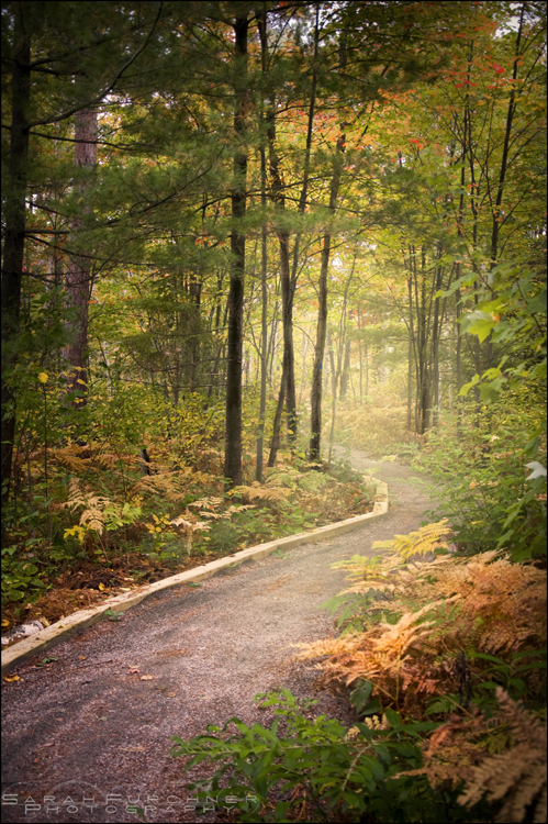 Wandering Path