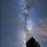The Sky At Night