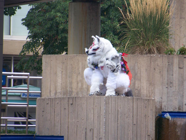 real life okami? by parrots4life on DeviantArt