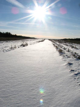 snow in the sun