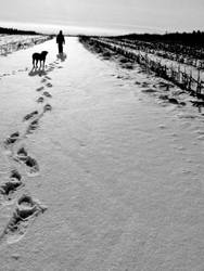 in the snow