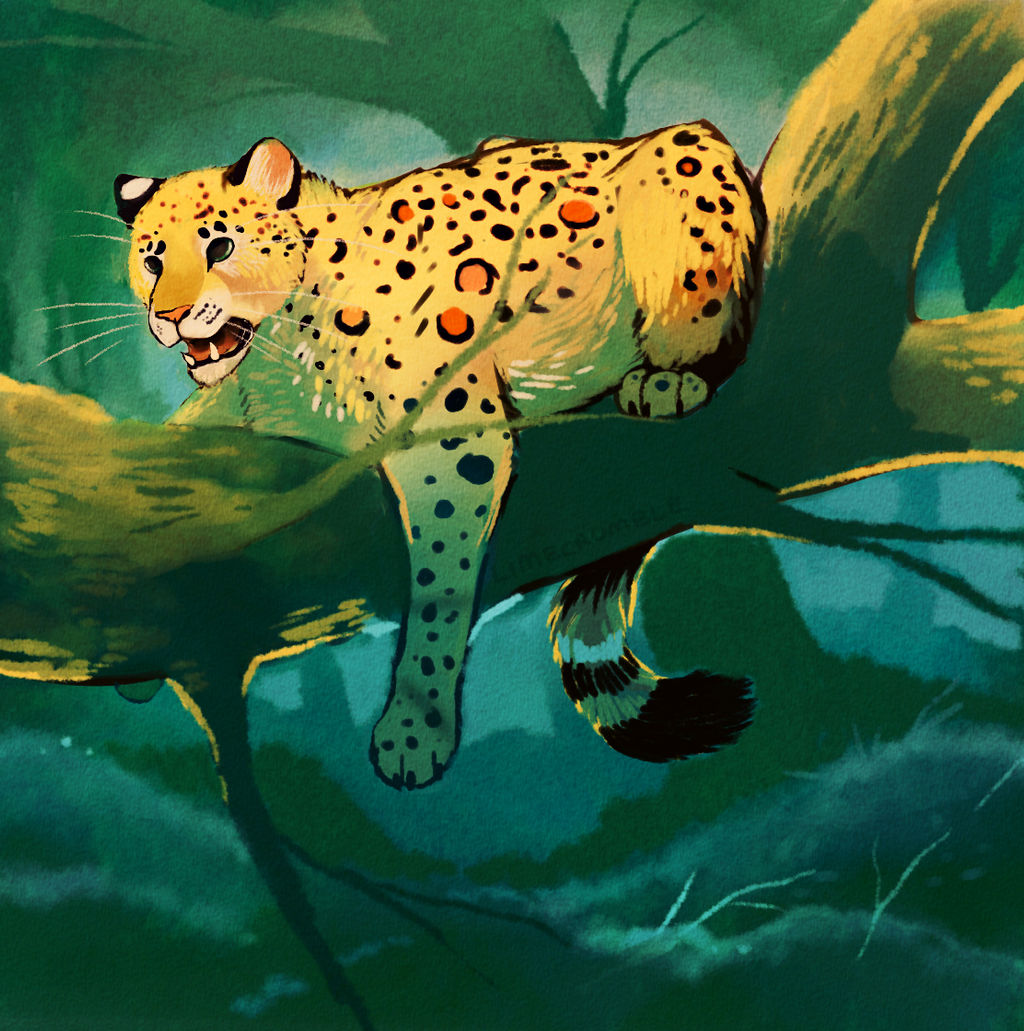 Jungle Cat by Limecrumble on DeviantArt