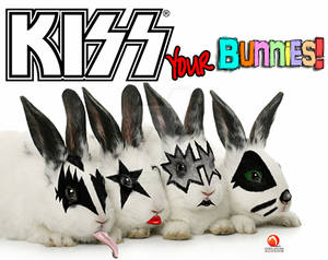KISS your Bunnies