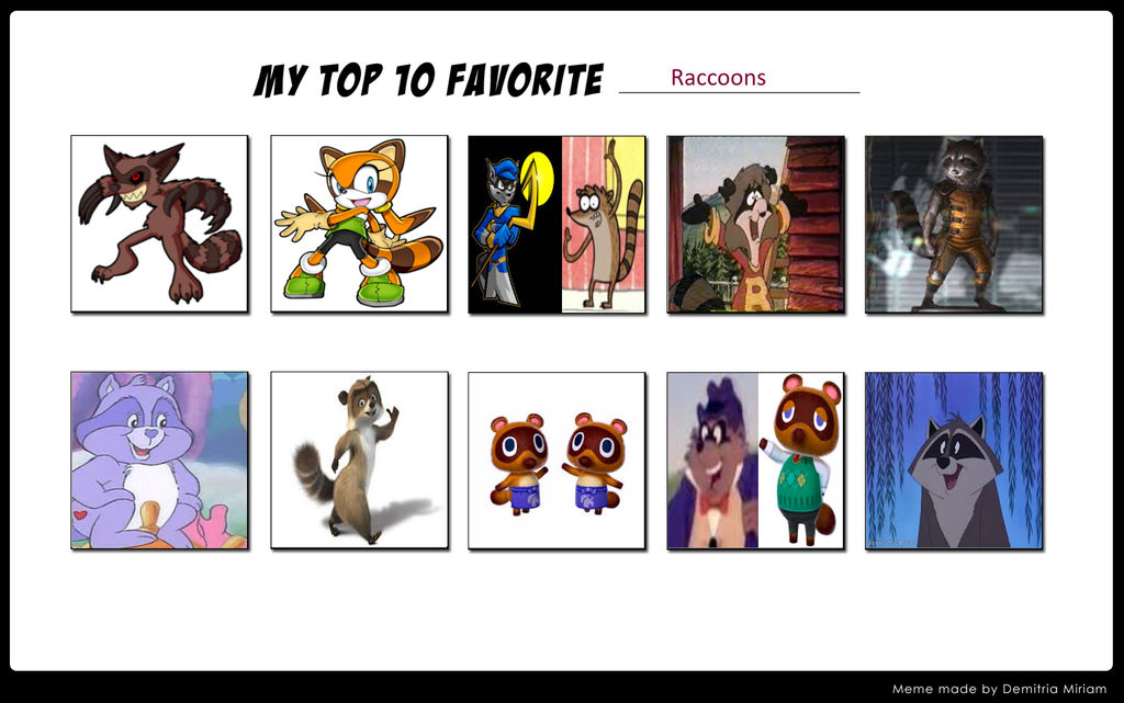 Top 10 Favorite Raccoons by Julayla-64 on DeviantArt