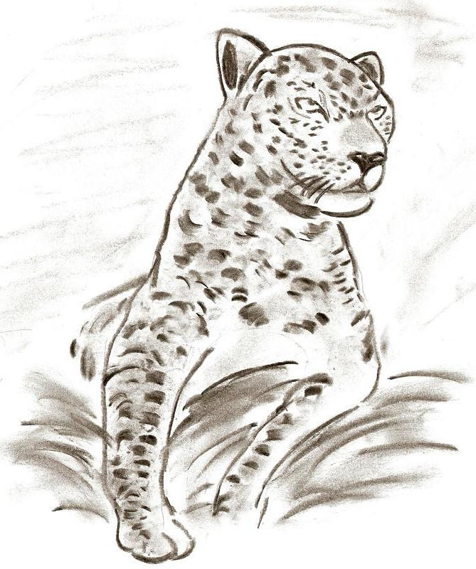 Leopard Slinking Drawing Leopard by dizzy98 on DeviantArt