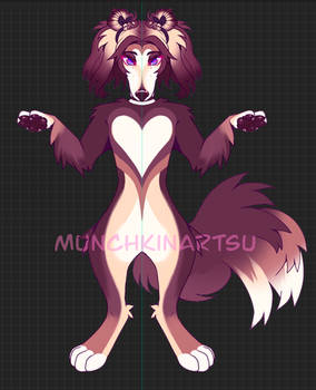 Saluki Adopt!