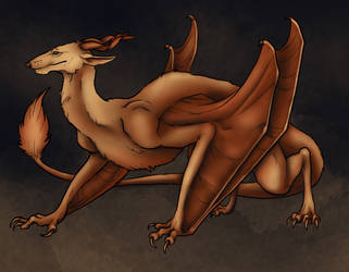 Dog Dragon Wyvern Creature