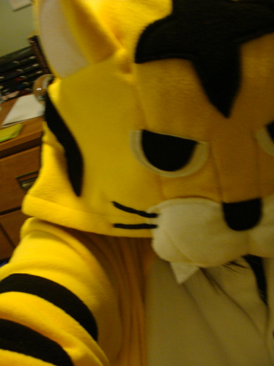 Tiger Kigurumi