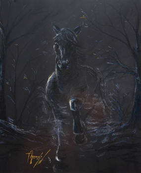 black ghost horse