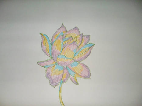 Flower 1