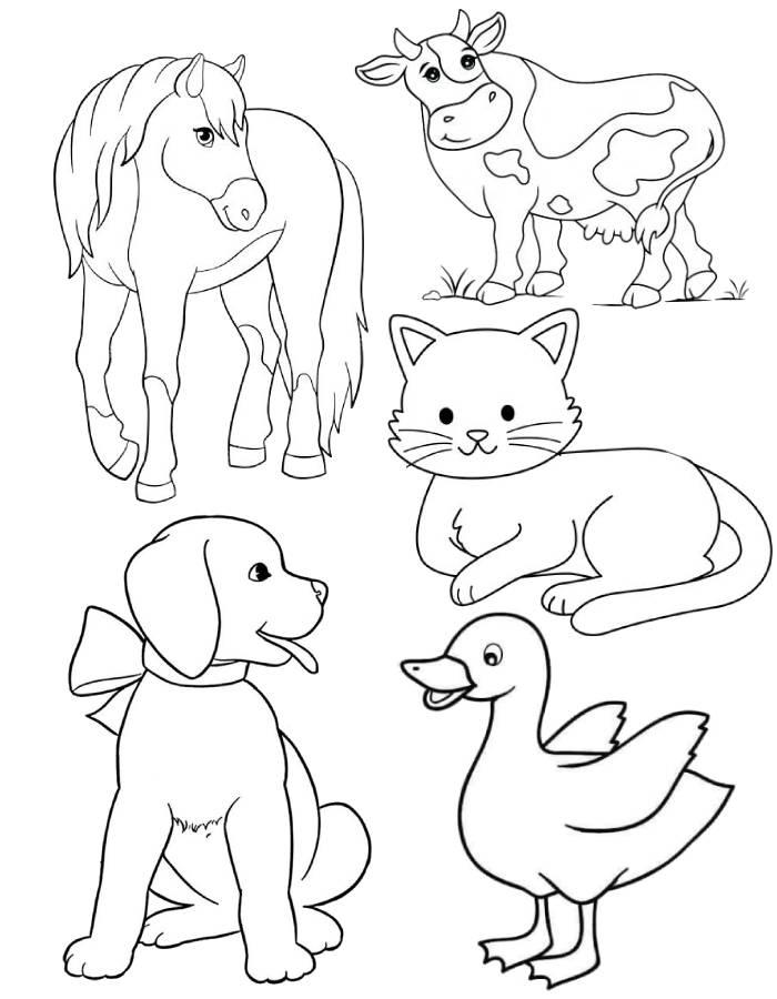 Animal For Coloring In Animal Coloring Pages by coloringus on DeviantArt