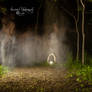 The Fairy Forest Ghost