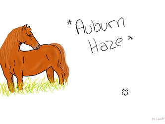 Auburn Haze