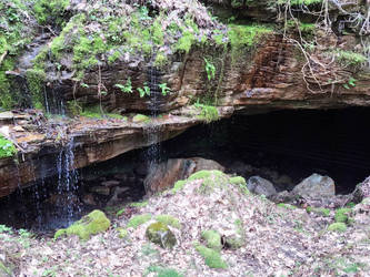 Big Bone Cave 