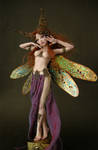 ART NOUVEAU DRAGONFLY FAERIE 3 by wingdthing