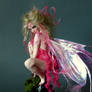 Pink Painted Faerie 3