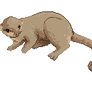 Kinkajou Animated Pixel