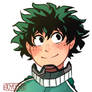 Bnha ((Deku))