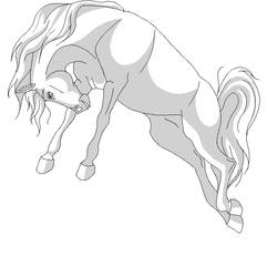 free horse lineart 3