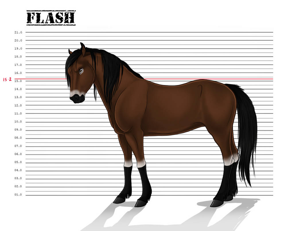 Flash - Reference sheet by Wild-Hearts on DeviantArt