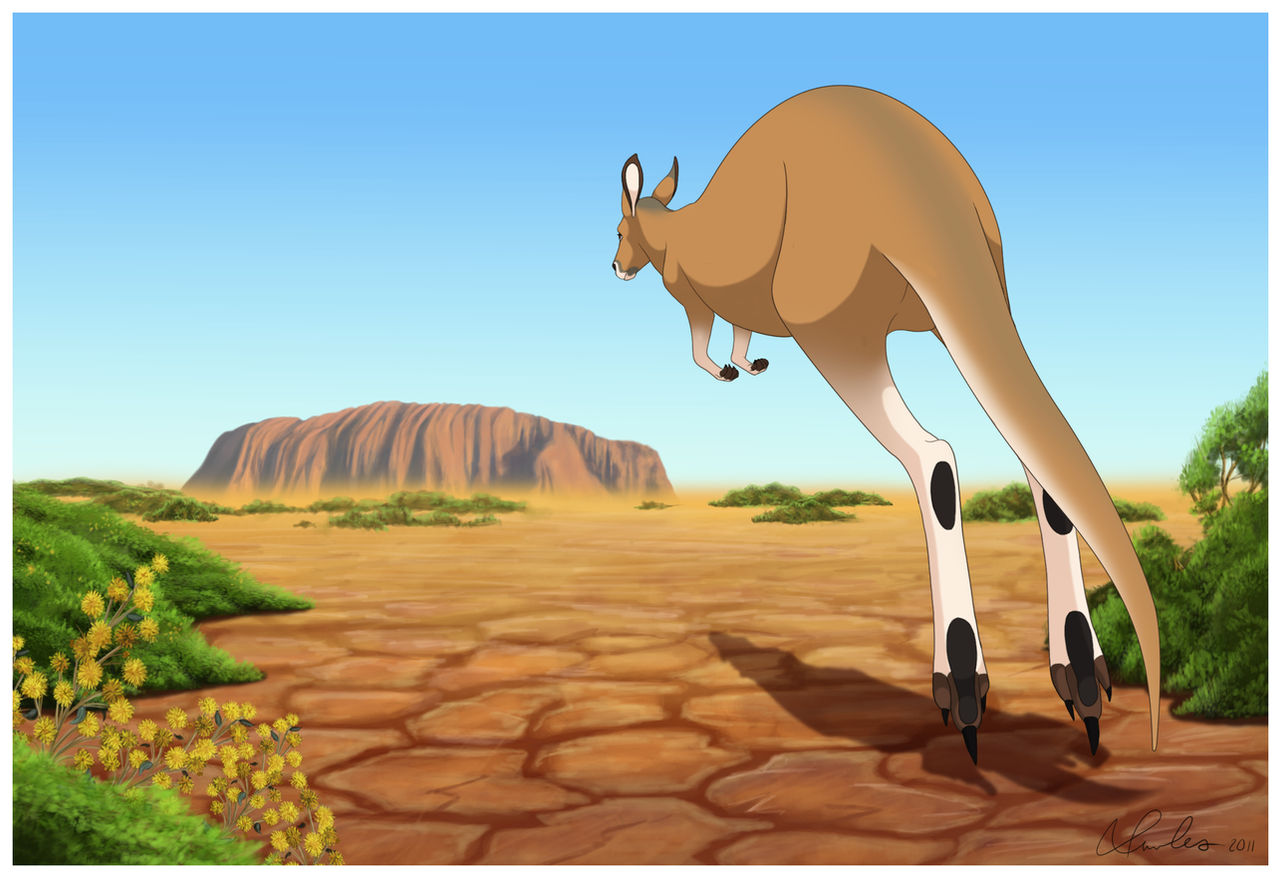 Traped Rabbit Uluru Journey to Uluru by Wild-Hearts on DeviantArt
