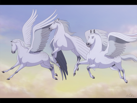 Pegasus Formation