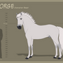 George - Character Sheet