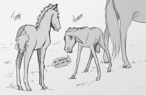 Odd Parenth - Foal Concept