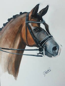 Valegro