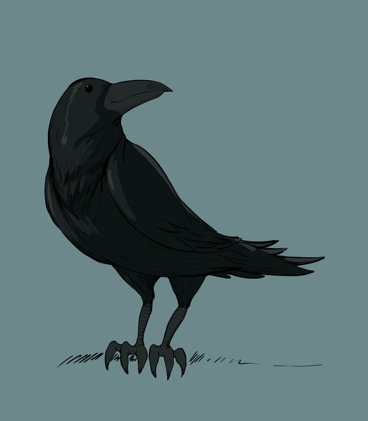 Raven tutorial by JoePopls on DeviantArt
