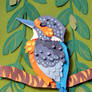 Kingfisher