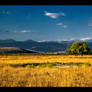 Yellow-blue landscape