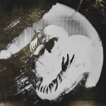 - by nairafee - by nairafee