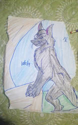 Black Rain Wolf Request By DisturbedDragon2000