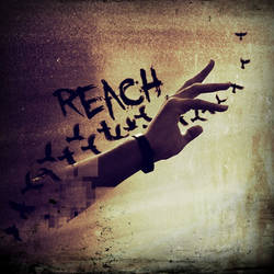 Alblum Cover:Reach