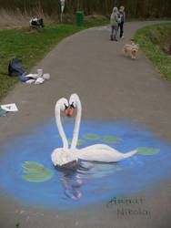 'Swan'