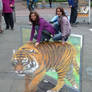 Tiger, Geldern 2010