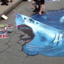 'Shark'
