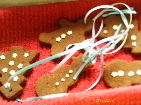 Christmas09 Gingerbread Cookie