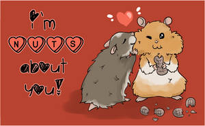 I'm nuts about you!