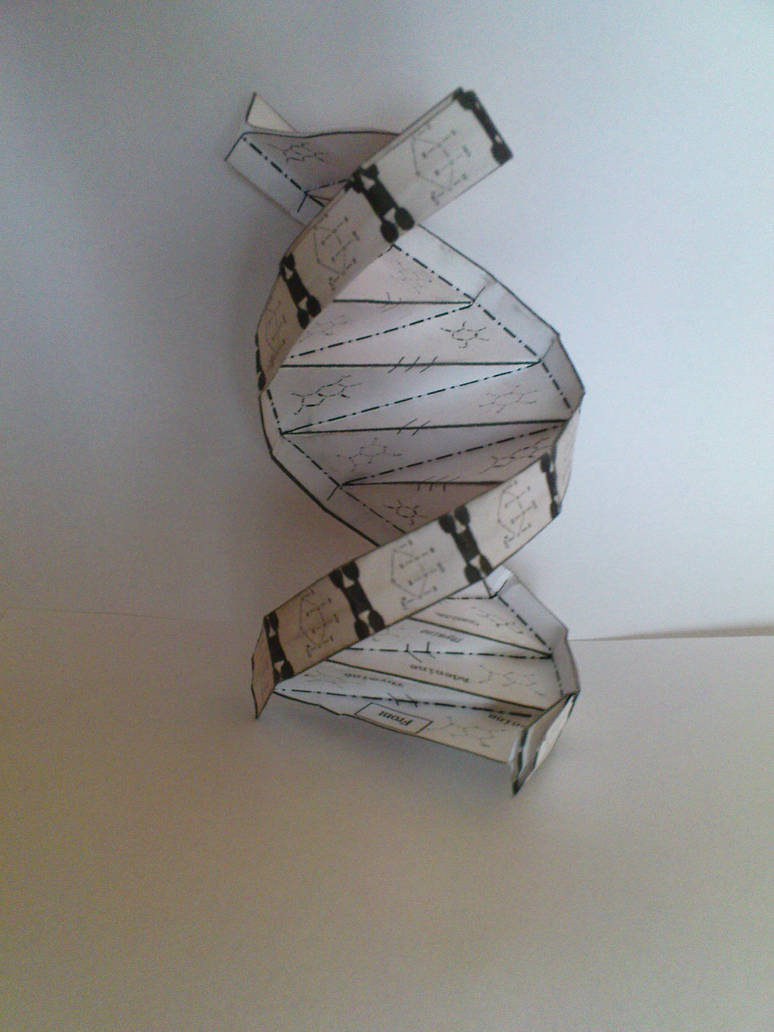 Dna Using Paper Origami DNA Helix by szaman1701 on DeviantArt