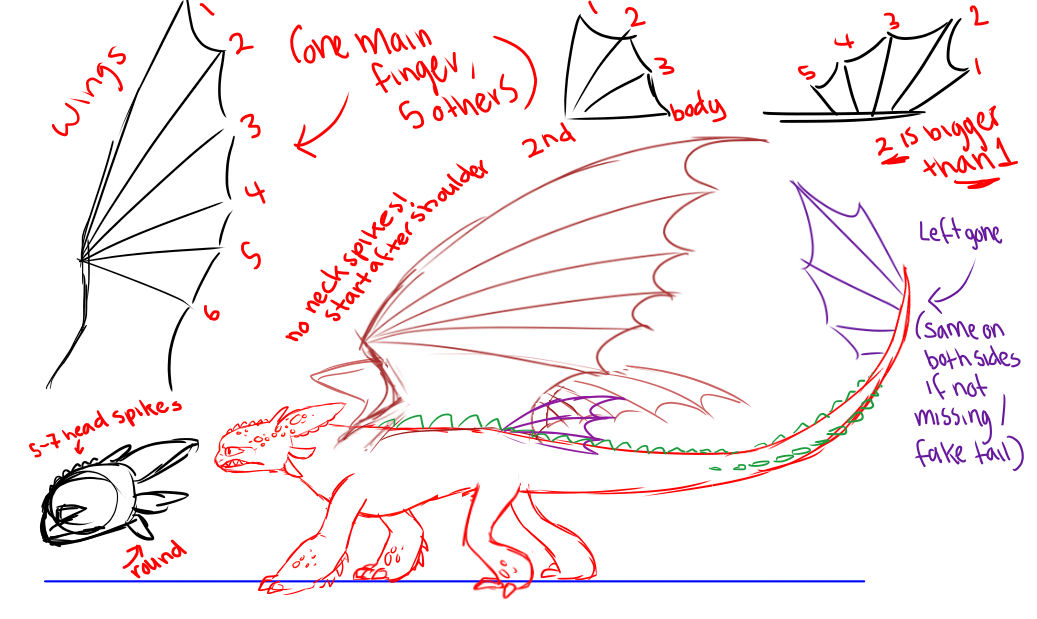 Toothless Anatomy by a-mystical-feline on DeviantArt