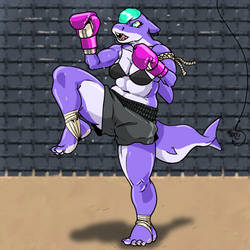 Shark Thai Fighter