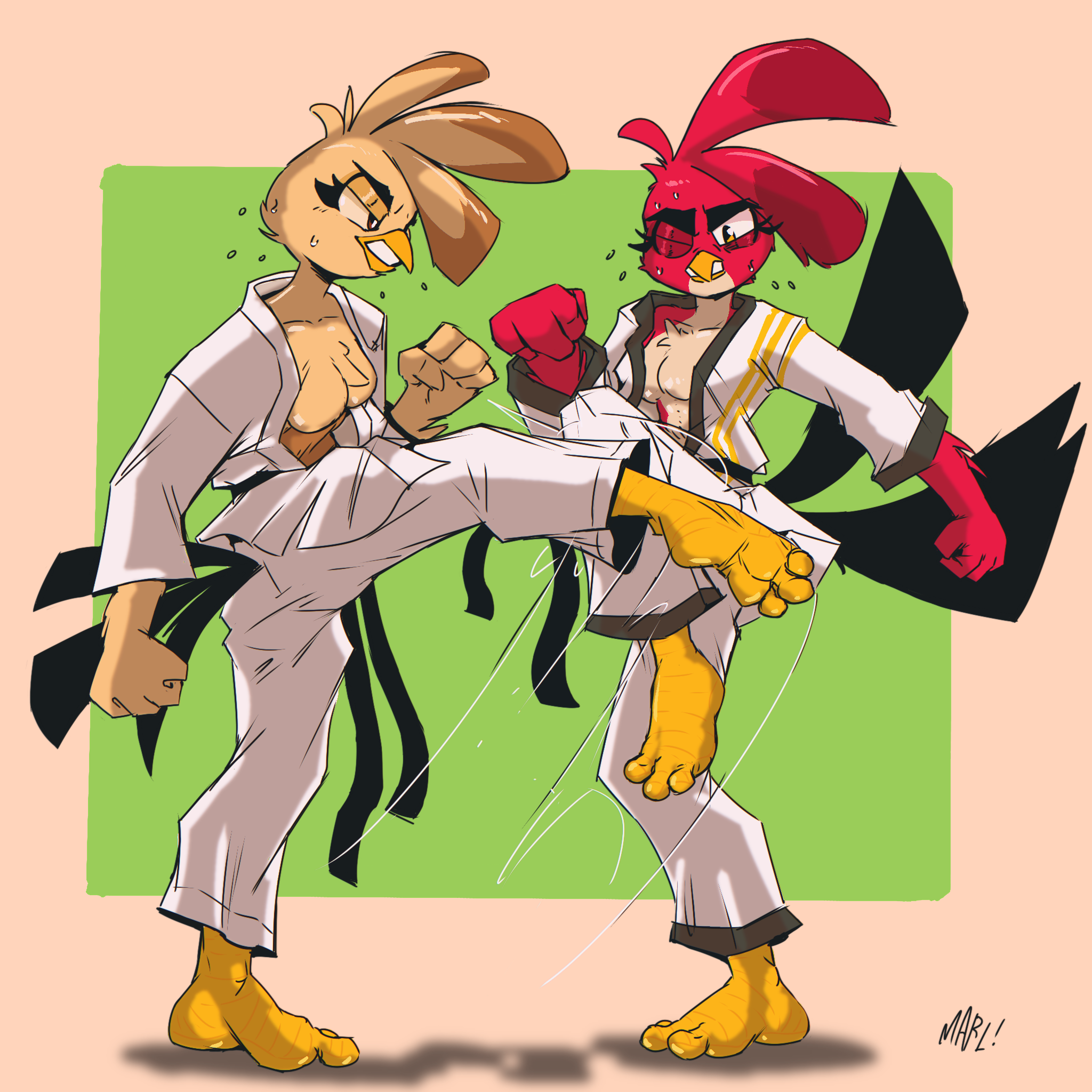 Umohmar Deviantart Karate Birds! by UmOhMar on DeviantArt