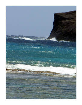 Hanauma Bay IV