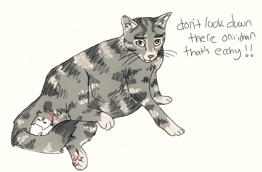 Rotoscoped Cat Giving Birth By Nyannyanxo On DeviantArt rotoscoped-cat-giving-birth-by-nyannyanxo-on-deviantart