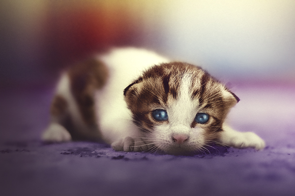 i love being colorful by mohdfikree i love being colorful by mohdfikree