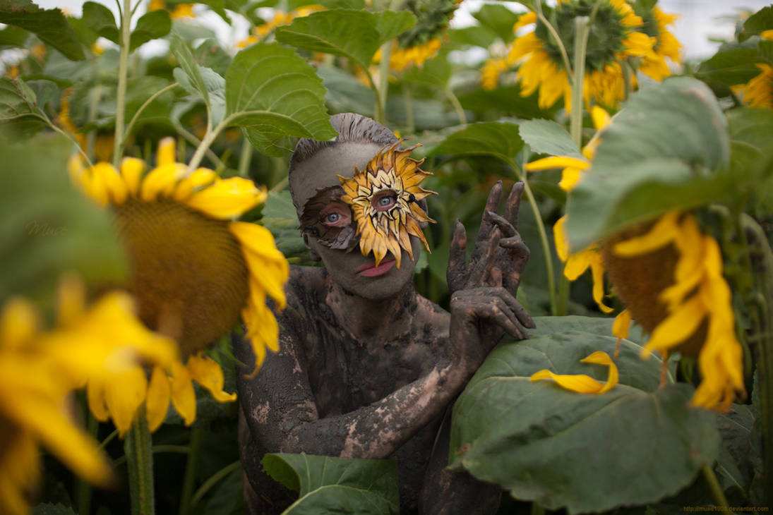 Sunflowers by MuseMercier