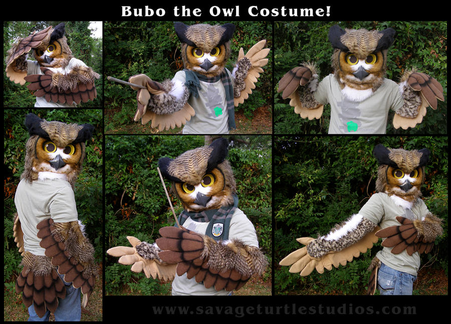 Bubo the Owl Partial