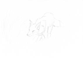 fox doodle